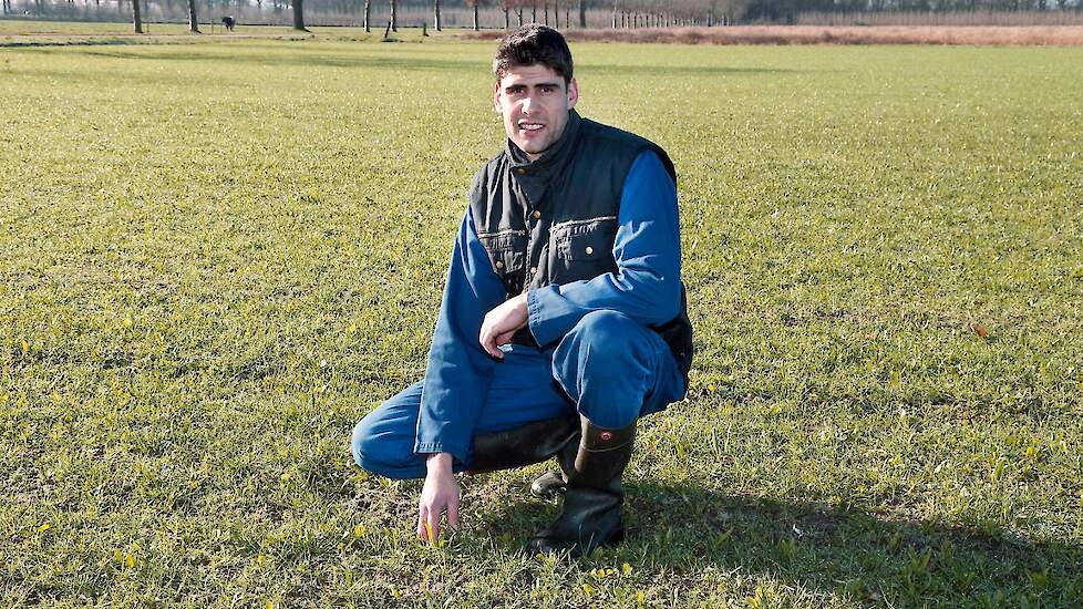 Melkveehouder Sander Vermeer vindt het een uitdaging om de verhouding van het gras en de klaver in zijn percelen goed te houden.