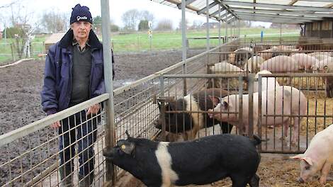 Henk Flippo houdt al 57 jaar varkens in Waddinxveen. Nu voelt hij zich klemgezet door de overheid.