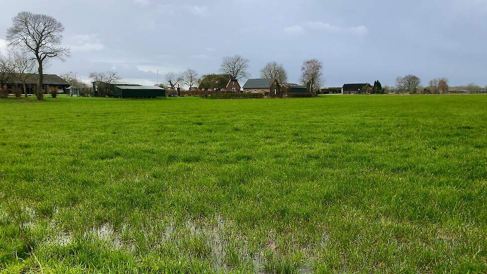 Er is veel water gevallen afgelopen week. Grasland is op veel plekken nog lang niet droog genoeg om mest uit te kunnen rijden.