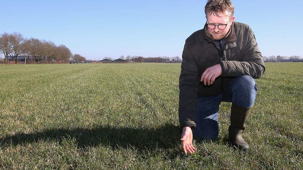 Nagel is gebiedscontactpersoon bij wie collega-boeren die meedoen aan Duurzame Melkveehouderij Drenthe terecht kunnen om te sparren.