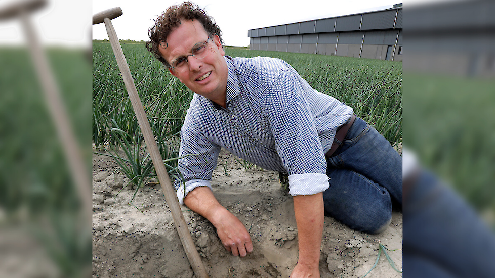 Marco Waverijn: „Door druppelirrigatie boeken we ook winst wat betreft bodemstructuur.”