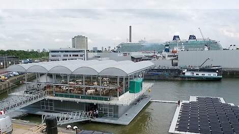 De floating farm voor koeien.