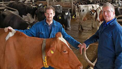 Vader en zoon Houtenbos runnen samen de melkveehouderij. Het bedrijf is na vijf verplaatsingen in de loop der jaren gegroeid van 25 naar 160 koeien.