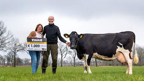 Jan en Lilian Martens uit Luyksgestel (NB) poseren trots met Truus 68 (Kian × Black Price), Beste Boerenkoe 2022.