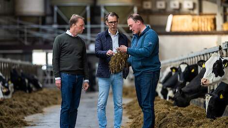 V.l.n.r. Hein Schumacher (FrieslandCampina), Dimitri de Vreeze (DSM) en Richard Korrel (Boerderij Polderzicht).