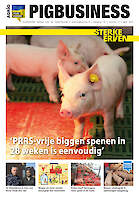 Cover Vakblad Pig Business › Editie 2022-03
