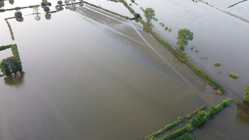 Bijna tien procent van de aardappelen van Daan Janssen, 27 hectare, is verloren gegaan door het vele water.