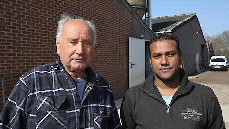 Jozef Maesen (76) en zoon Vijay (41) hebben zich bij de sluiting van hun varkensbedrijf neergelegd. „Vechten tegen de regering heeft weinig zin.”