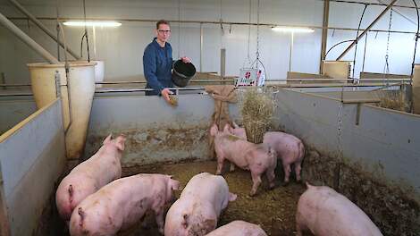 John Tijmensen gebruikt jutten zakken en kettingen om bijterij te voorkomen. Ook geeft hij zijn varkens dagelijks ruwvoer. De varkenshouder kreeg een bezoek van een welzijnscoach. „Het was voor mij wel een eyeopener dat het staartbijten eerder kan beginne