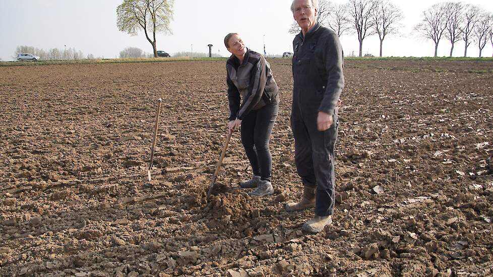 Anna Zwijnenburg van Van Tafel naar Kavel maakt samen met akkerbouwer Jos Lamers profielkuilen in net (voorjaars)geploegd land en enkele tientallen meters verderop in najaarsgeploegd land.