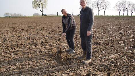 Anna Zwijnenburg van Van Tafel naar Kavel maakt samen met akkerbouwer Jos Lamers profielkuilen in net (voorjaars)geploegd land en enkele tientallen meters verderop in najaarsgeploegd land.