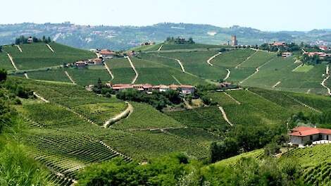 Het glooiende landschap in Italië. Beeld ter illustratie.