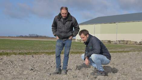 Terugkijkend op het vorige seizoen zegt Reynold Ypma (l) blij te zijn dat hij voor Quickdown als noodgreep gekozen heeft. “Dit voorjaar is kamille gelukkig geen probleem”, signaleert hij met Jan Koelmans, “Maar het is goed om te weten dat ik er bij herhal