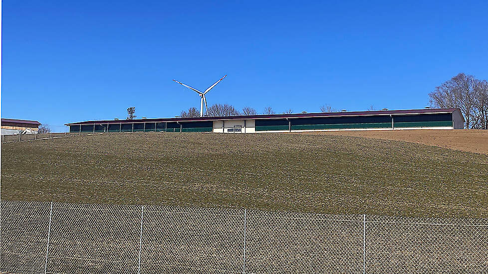 Nieuwe stal voor 6.000 bio-hennen