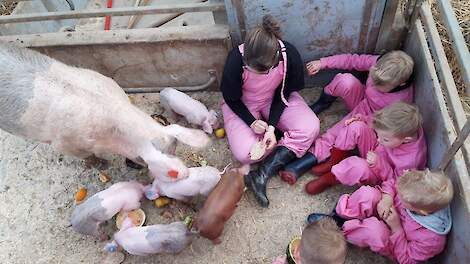Boerin Annemarie Noordman geeft de kinderen uitleg over de varkens in haar stal op de boerderij in Lemelerveld (OV)