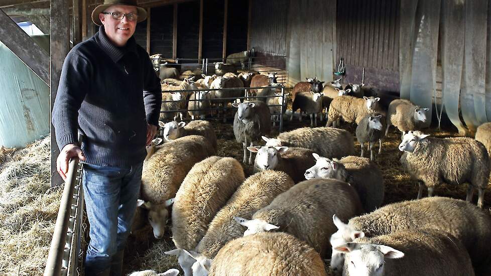 Schapenhouder Raymond Zijp blijft op zijn vergunde en gegunde plek zitten. „De vraag is of er genoeg perspectief is.”