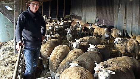 Schapenhouder Raymond Zijp blijft op zijn vergunde en gegunde plek zitten. „De vraag is of er genoeg perspectief is.”