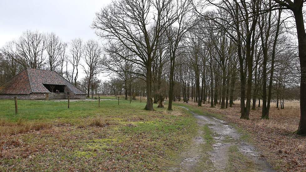 De stikstofaanpak bezorgt veel boeren in de randzone van de Groote Peel slapeloze nachten, weet Toon Hartman. „Ze proeven dat de landbouw wordt opgeofferd voor de bouw van huizen.”