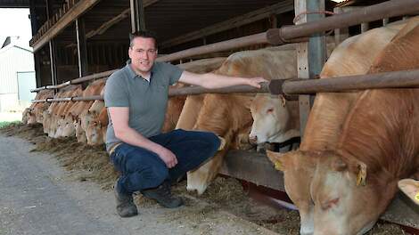 Christiaan Lenferink houdt samen met zijn familie 420 vleesstieren, voornamelijk van het ras Blonde d’Aquitaine.