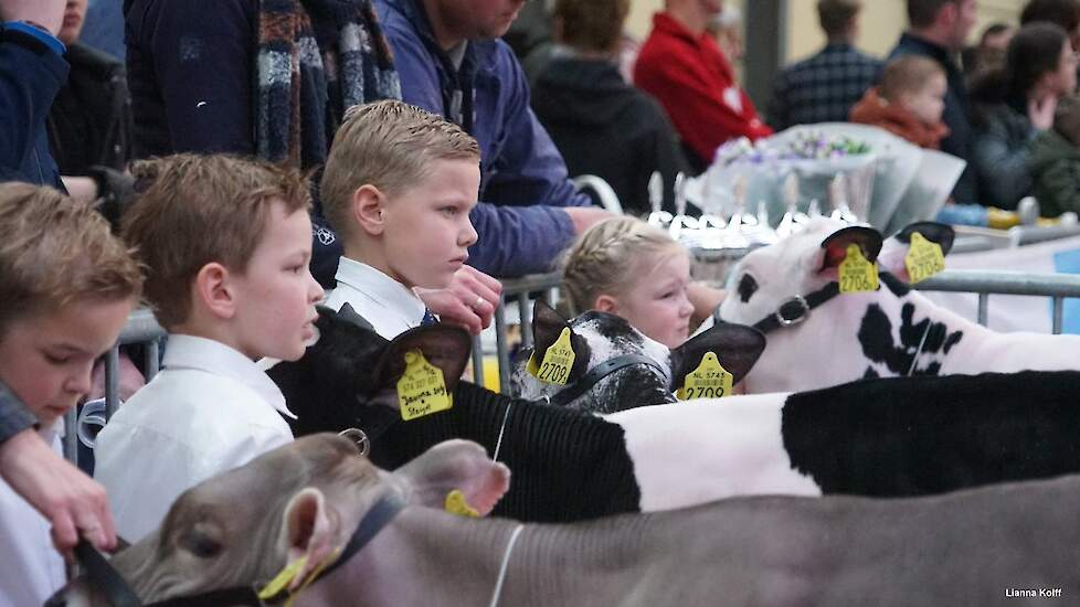 Gespannen gezichtjes tijdens de kalverkeuring van de Bloesemshow.