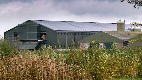 De zichtbare gevolgen van vogelgriep, hier in een ander geval.