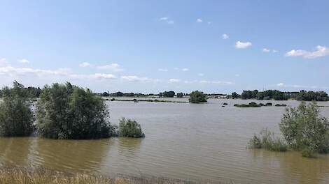 Hoogwater in de zomer van 2021 in de uiterwaarden van de Waal bij Millingen aan de Rijn (GD), onderdeel van Rijntakken.