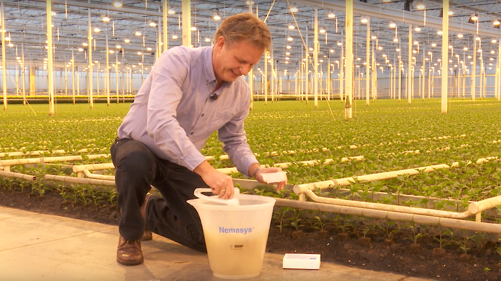 Piet van Boven, BASF, over bio-insecticiden