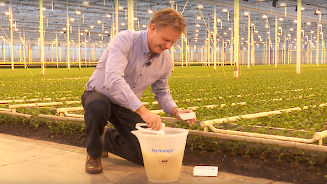 Piet van Boven, BASF, over bio-insecticiden