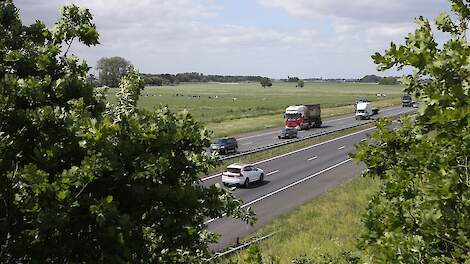 Het gebruik van stikstof afkomstig uit de stikstofbank via het verlagen van de maximumsnelheid op de snelweg van 130 naar 100 kilometer per uur zou in strijd zijn met de Europese habitatregels.