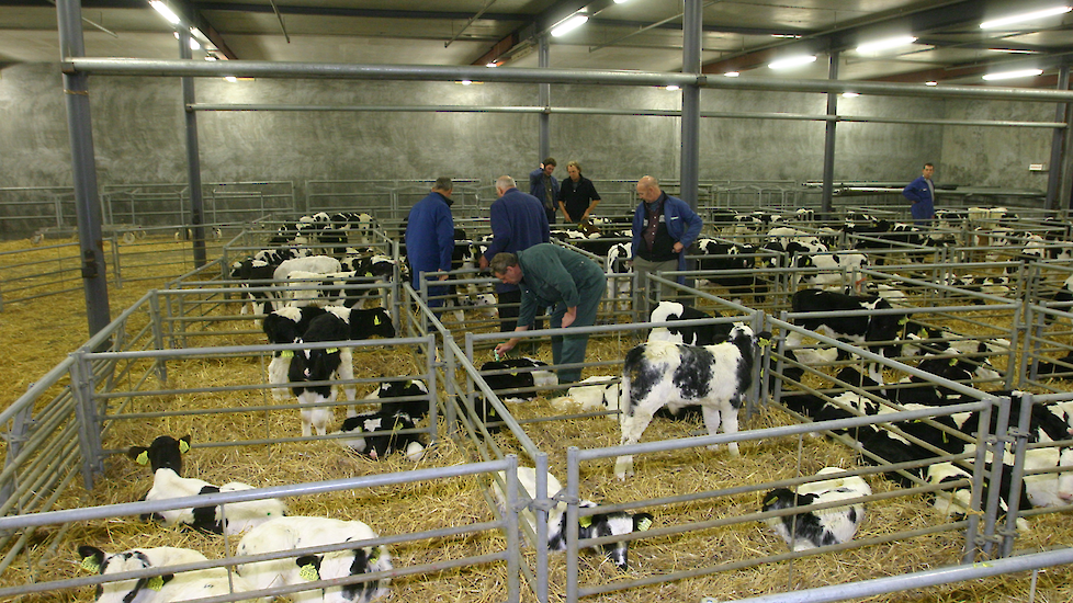 Er wordt nog regelmatig gehandeld op de veemarkt in Leeuwarden.