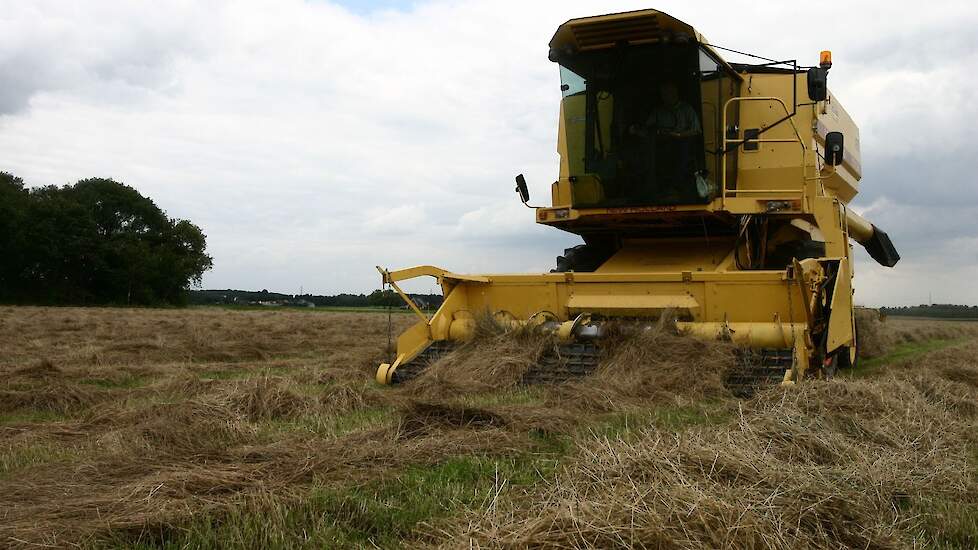 Archieffoto: oogst van graszaad.