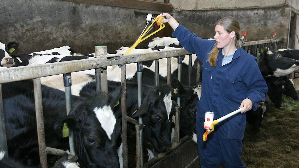 VKON werkt met diverse partners intensief samen, onder andere met dierenartsen en veehouders. Afbeelding ter illustratie.
