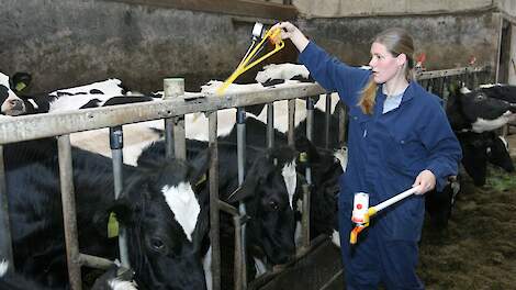 VKON werkt met diverse partners intensief samen, onder andere met dierenartsen en veehouders. Afbeelding ter illustratie.