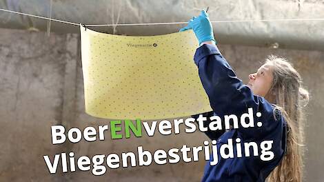 Optimale vliegenbestrijding! - BoerENverstand