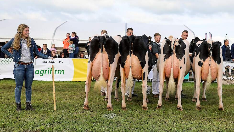 Een foto gemaakt tijdens de laatste editie van de Fokveedag in 2019.