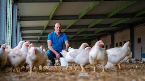 Online supermarkt Picnic verkoopt vanaf 7 mei uitsluitend nog kippenvlees dat minimaal voorzien is van 1 ster van het Beter Leven-keurmerk van de Dierenbescherming. Het kippenvlees is afkomstig van onder meer pluimveehouder Bert de Bruijckere uit Aardenbu