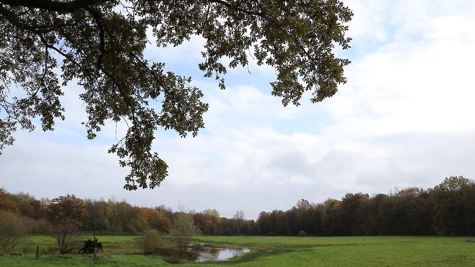 Het Aamsveen in Overijssel