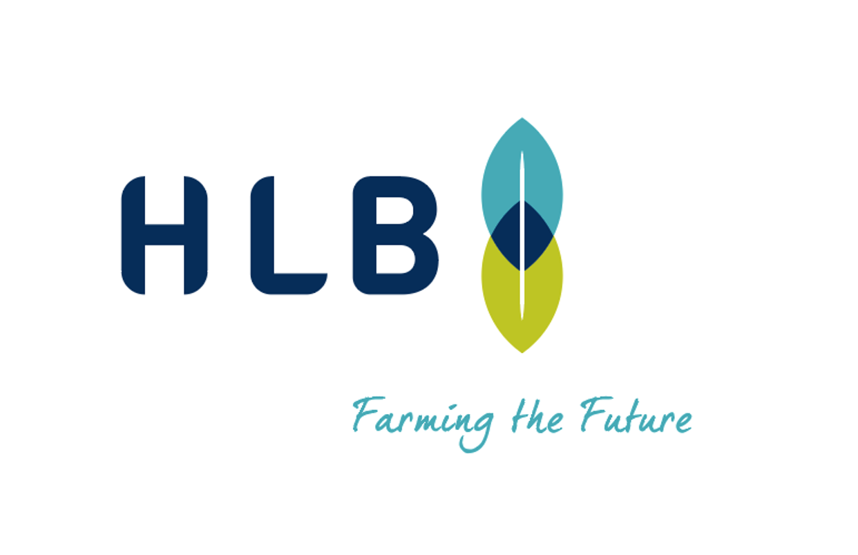 HLB BV logo