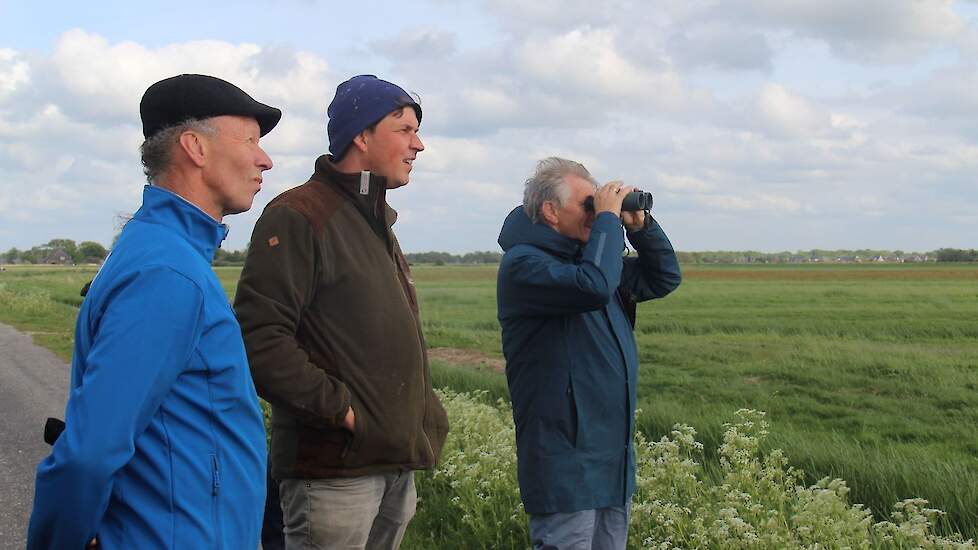 Gedeputeerde Douwe Hoogland (rechts) bekijkt de braakstroken met onderzoeker Jelle Loonstra (midden) en voorzitter van Noardlike Fryske Wâlden Albert van der Ploeg (links).