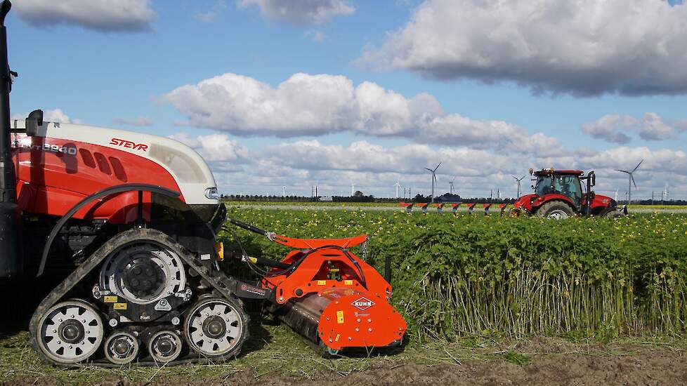 Telers zijn steeds meer geïnteresseerd in het efficiënt benutten van nutriënten uit groenbemesters. Dat heeft te maken met beperkingen in de hoeveelheid stikstof in mest, maar ook met de hogere prijs van meststoffen.