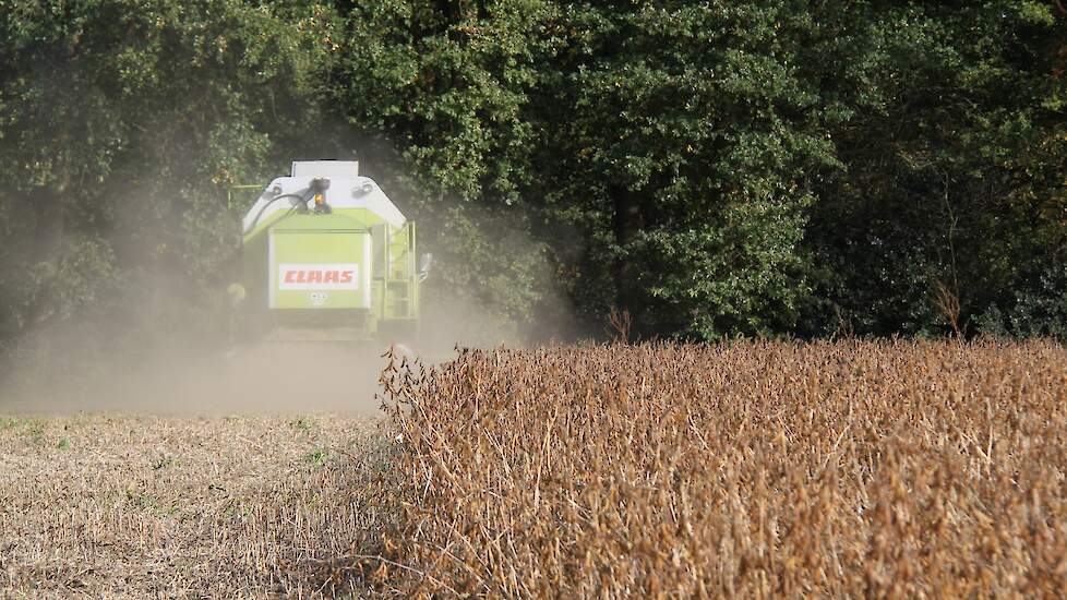 Oogst van sojabonen in Gelderland