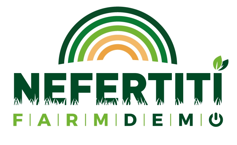 Nefertiti logo