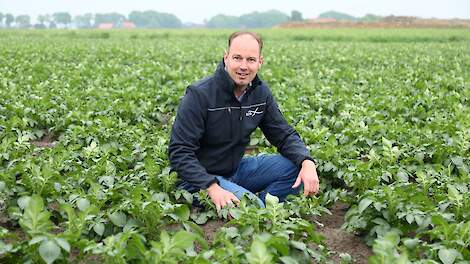De aardappeloogst is volgens akkerbouwer Hendrik Jan Ten Cate uit Poortvliet nog niet verloren, mits er de komende periode voldoende neerslag valt.
