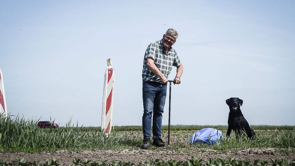 Arnold Langeveld ziet dat de eerste praktische resultaten van zoetwateropslag onder de grond op Texel goed uitpakken.