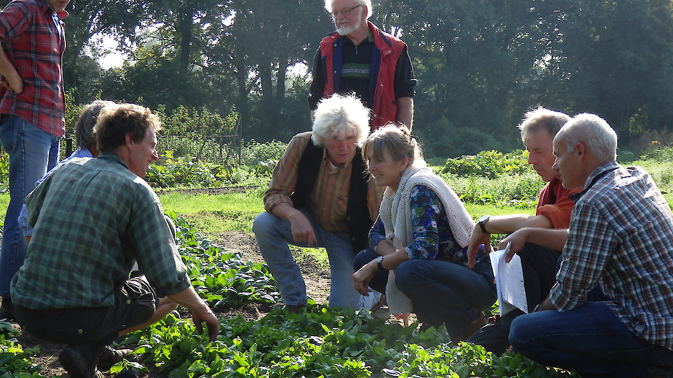 Afbeelding van een tuindersbijeenkomst over spinazie bij Tuinderij de Es.