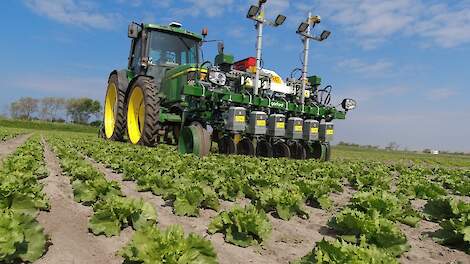 Garford InRow schoffelmachine in de ijsbergsla