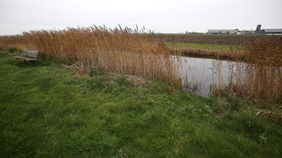 Natura 2000-gebied Heanmer in Zuid-West Friesland.
