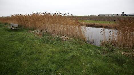 Natura 2000-gebied Heanmer in Zuid-West Friesland.
