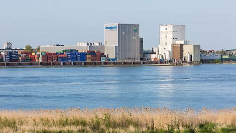 De fabriek van Vreugdenhil in Gorinchem.