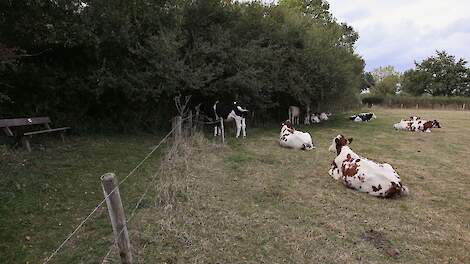 Een voorbeeld van natuurinclusieve landbouw elders in het land.